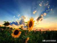 保定安双商贸有限公司