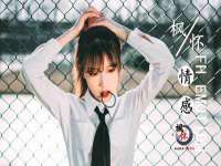 保定安双商贸有限公司