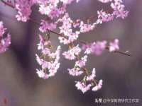 保定安双商贸有限公司