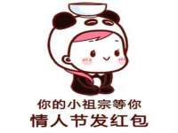 保定安双商贸有限公司