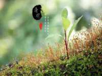 保定安双商贸有限公司