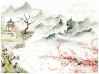 保定安双商贸有限公司