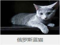 保定安双商贸有限公司