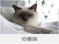 保定安双商贸有限公司