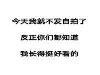 保定安双商贸有限公司