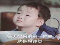 保定安双商贸有限公司
