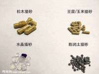 保定安双商贸有限公司