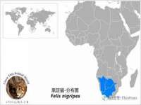保定安双商贸有限公司