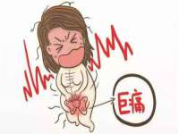 保定安双商贸有限公司