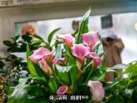 保定安双商贸有限公司