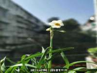 保定安双商贸有限公司