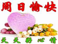 保定安双商贸有限公司