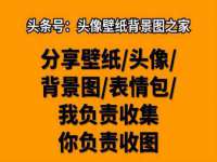 保定安双商贸有限公司