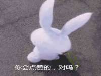 保定安双商贸有限公司