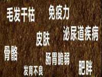 保定安双商贸有限公司