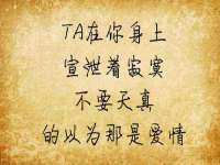 保定安双商贸有限公司