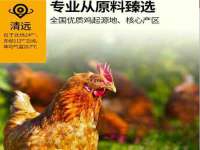 保定安双商贸有限公司
