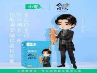保定安双商贸有限公司