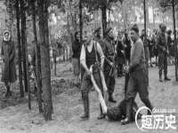 保定安双商贸有限公司
