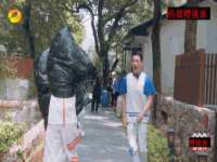 保定安双商贸有限公司