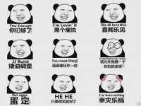 保定安双商贸有限公司