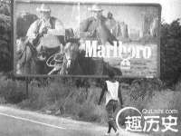 保定安双商贸有限公司