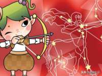保定安双商贸有限公司