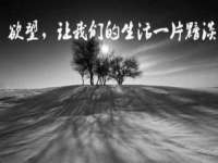 保定安双商贸有限公司