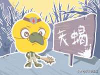 保定安双商贸有限公司