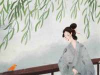 保定安双商贸有限公司