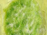 保定安双商贸有限公司
