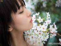 保定安双商贸有限公司