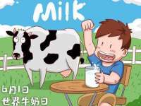保定安双商贸有限公司