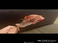 保定安双商贸有限公司